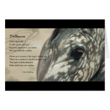 Stillness Inspiration Card