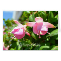 Stillness of Beauty Card