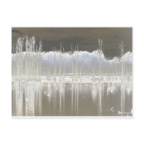 Stillness Post Cards