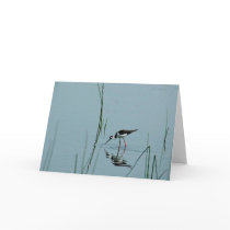 Stilt Reflection Card