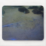 Sting Ray mousepads