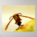 Stinger 12 posters