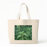 Stinging Nettles Canvas Bags