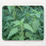Stinging Nettles Mouse Mats