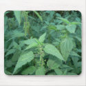 Stinging Nettles mousepads