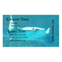 Stingray Business Cards