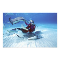 Stingray City, Grand Cayman, Cayman Islands,