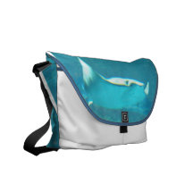 Stingray Messenger Bag