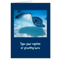 Stingray Note Cards