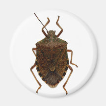 Stink Bug Refrigerator Magnet
