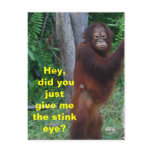 Stink Eye postcard