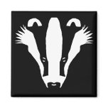 Stinking Badger magnets