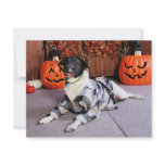 Stinky - Mixed Breed - Farber invitations