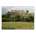stirling castle sheep cards