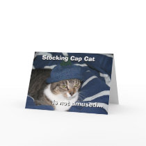 Stocking cap cat is not amused cards