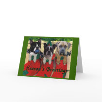 Stocking Pups Card