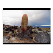 Stockton Hill Rd. Heading To Dolan Springs- Postcards