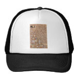 Stoclet Fries Expectation Trucker Hat