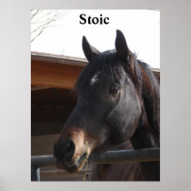 Stoic Posters