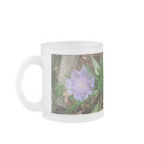 Stokes Aster, Stokesia laevis Mug