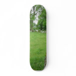 Stone Circles Grange Ireland Trees Moss Rocks skateboards