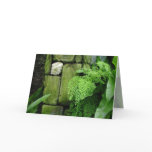 Stone Garden: Aristotle - Greeting Card