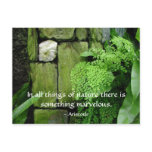 Stone Garden: Aristotle - Postcard