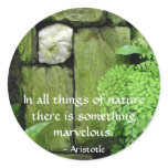 Stone Garden: Aristotle - Sticker