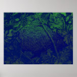 Stone Moss Poster