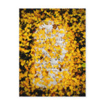 Stone of Yellow Leaves Postcard