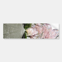 Stone Path Bumper Stickers
