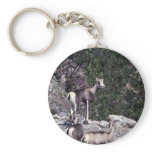Stone sheep (Ewes) Keychain