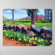 Stone Wall Daffs Print/Poster