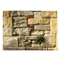 Stone Wall. With small plant. Custom Invite