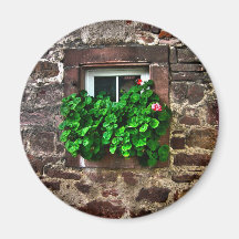 Stone Wall with Window Plants Fridge Magnet