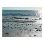Stones On Beach Shore Post Card