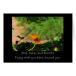 Stop and Relax Card