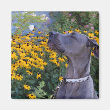 Stop and Smell the Flowers Magnet