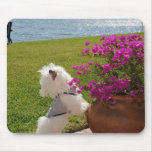 Stop and smell the flowers mouse pad mousepads