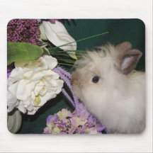 Stop and Smell the Flowers Mouse Pads