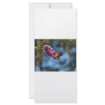 Stop and Smell the Flowers rack cards