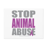 Stop Animal Abuse Post Card