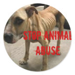 Stop Animal Abuse stickers