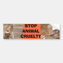 STOP Bumper Sticker