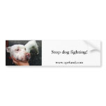 Stop dog fighting! bumper sticker bumper stickers