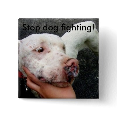 Stop dog fighting! button by rescueadog