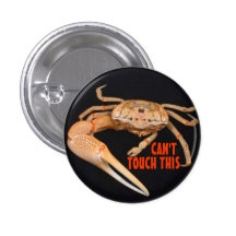 Stop- Fiddler Time Pin