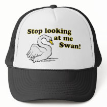 Stop looking at me swan