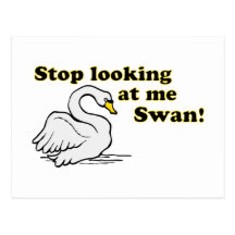 Stop looking at me swan post card