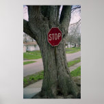 Stop Print